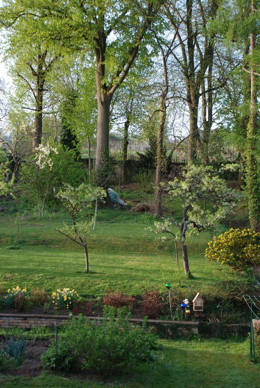 La Maison De Georges - Les Coquelicots Scharrachbergheim-Irmstett Rom bilde