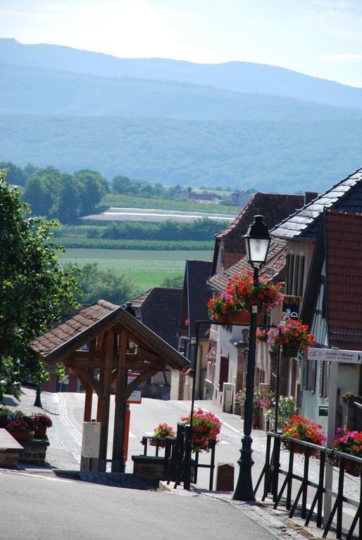 La Maison De Georges - Les Coquelicots Scharrachbergheim-Irmstett Rom bilde